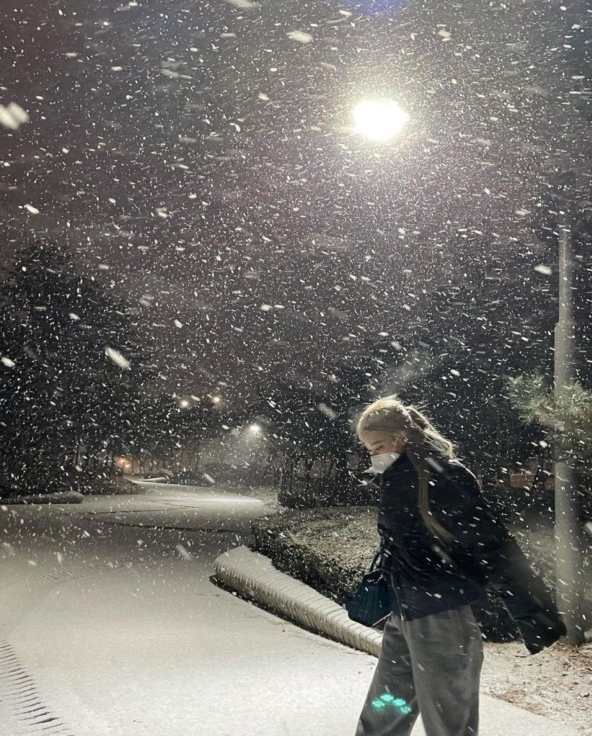 블랙핑크 로제 인스타그램❄
