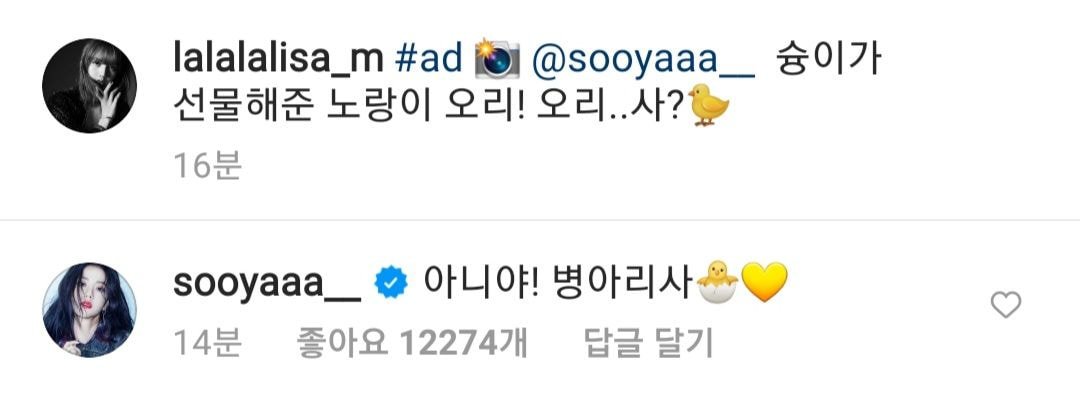 블랙핑크 리사 인스타 업뎃