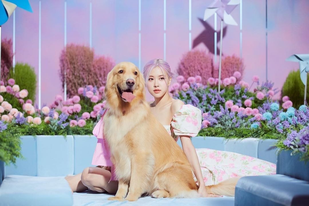 블랙핑크 로제 인스타