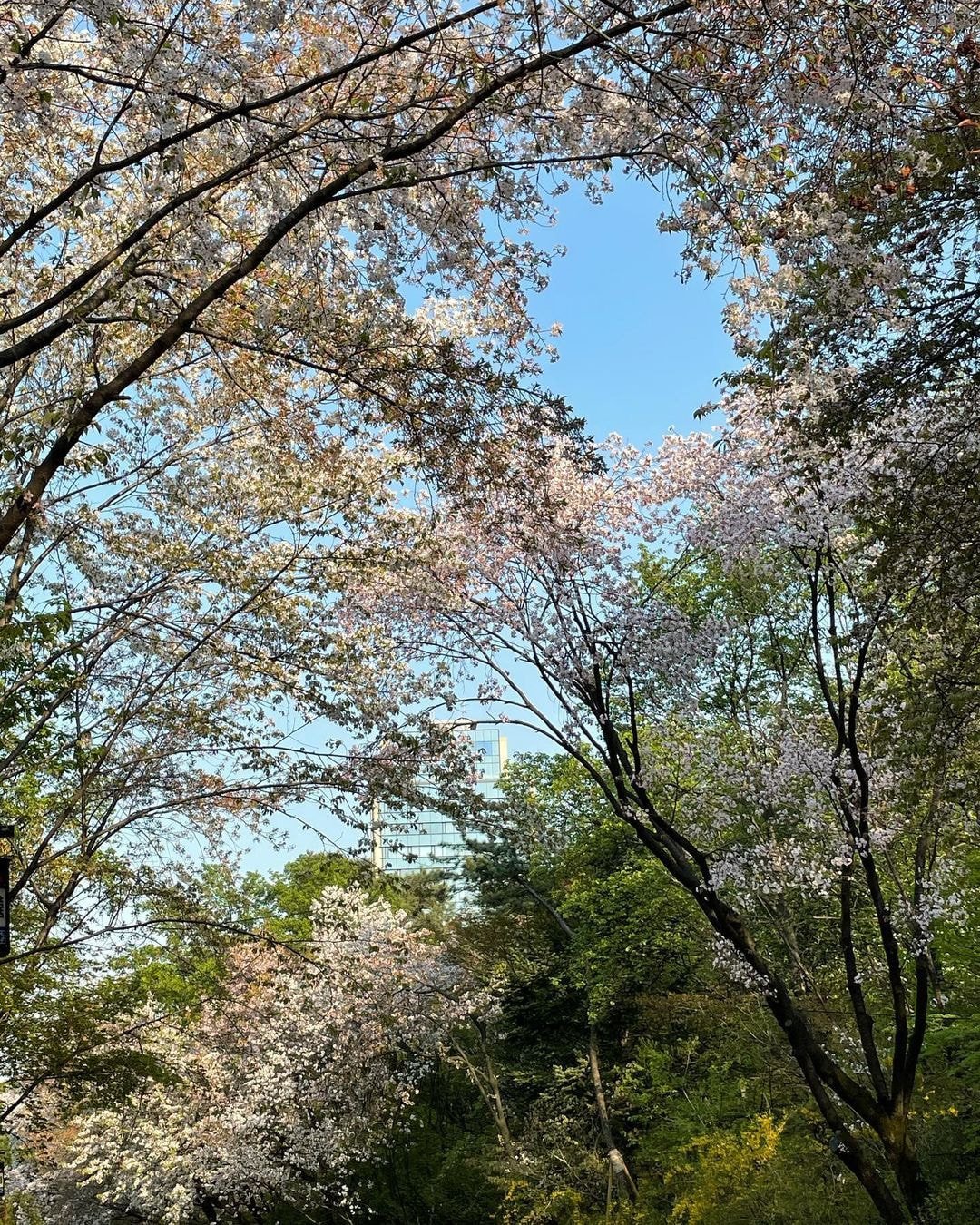 오늘자 블랙핑크 지수 인스타 (with 리사)