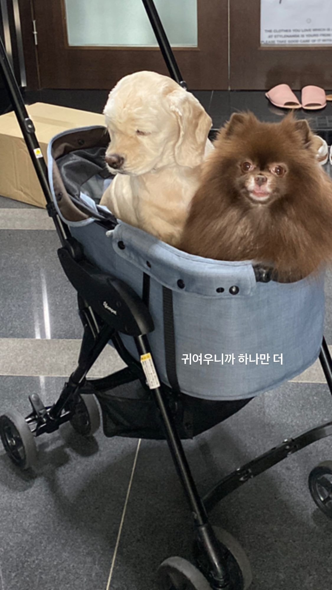 블랙핑크 제니.insta+story