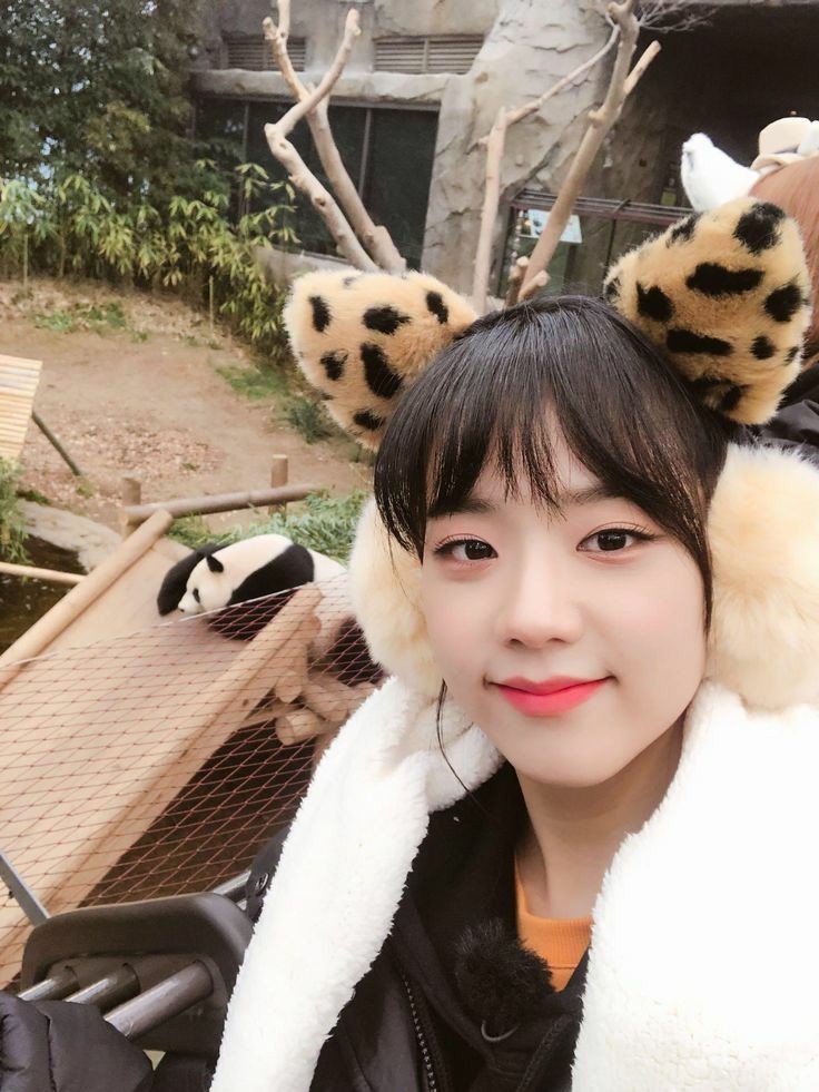 아침에 보는 #블랙핑크 지수