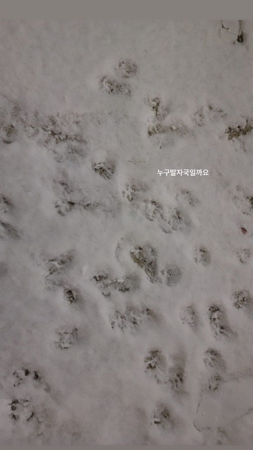 제니 인스타 업뎃❄️
