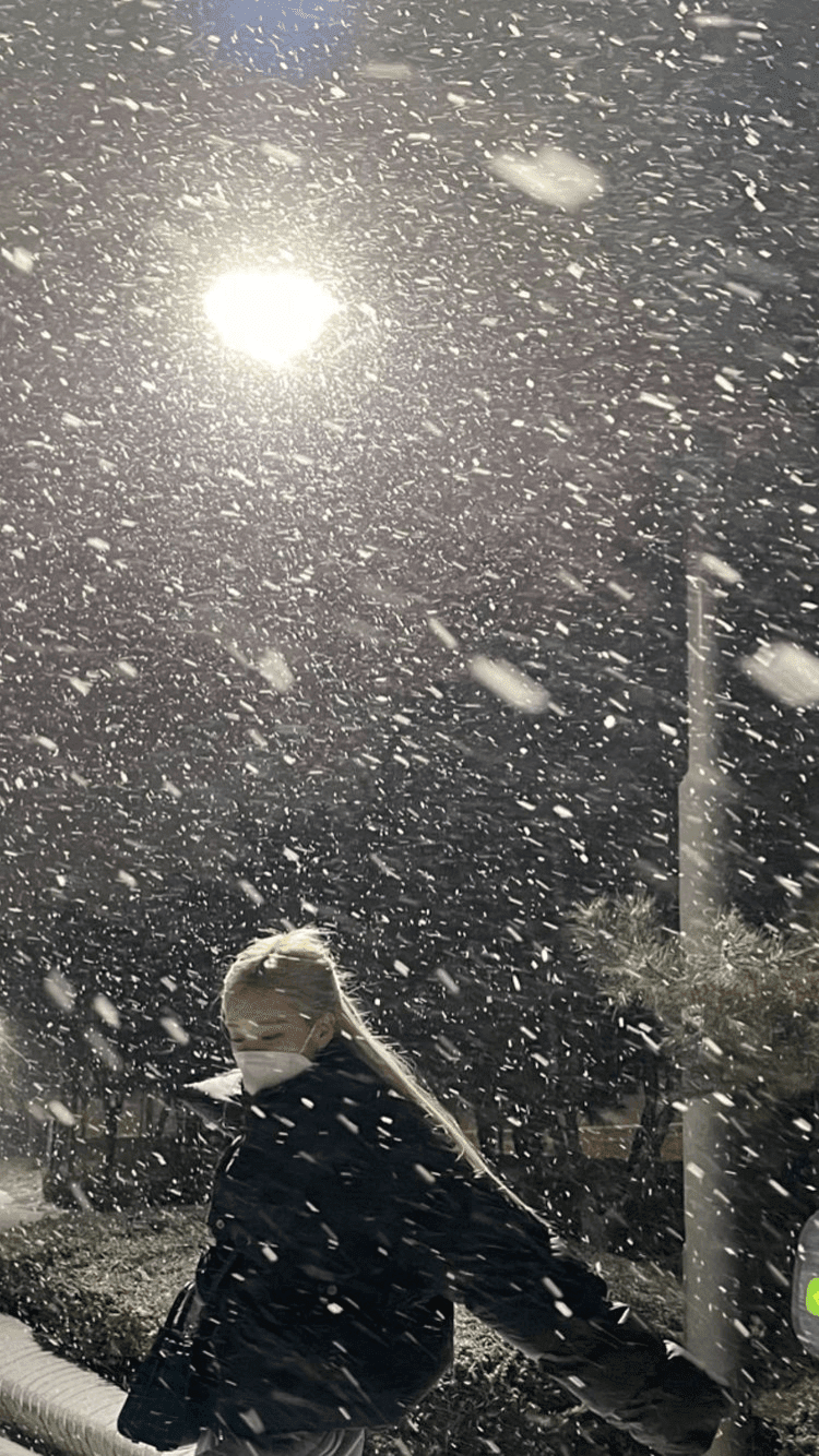 블랙핑크 로제 인스타그램❄