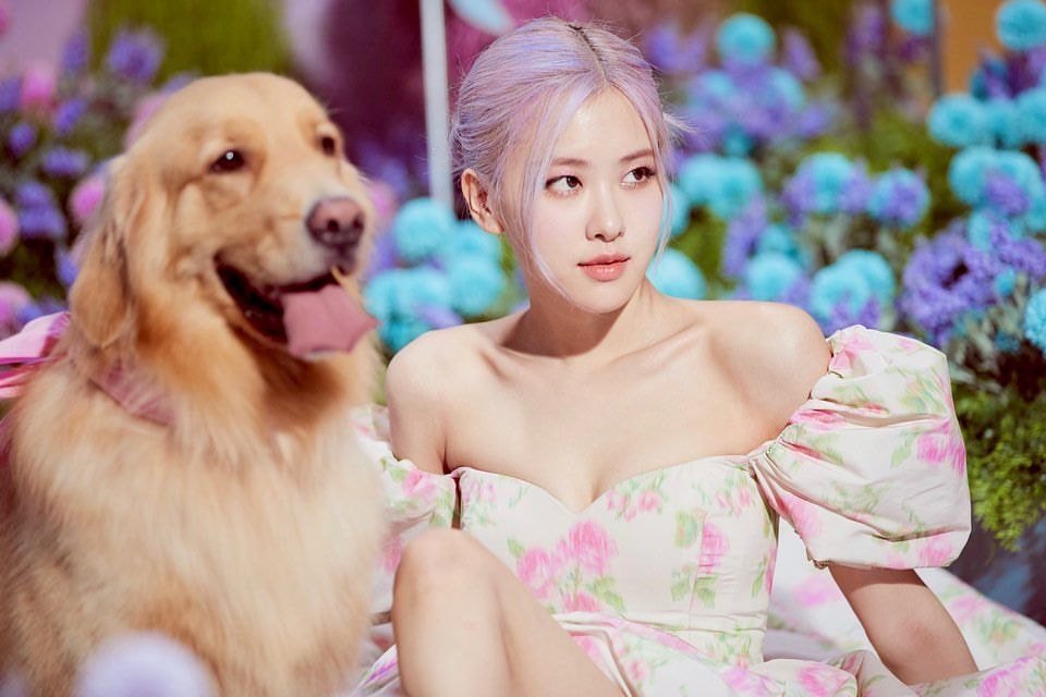 블랙핑크 로제 인스타