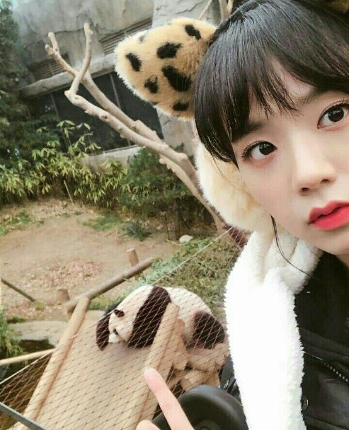 아침에 보는 #블랙핑크 지수