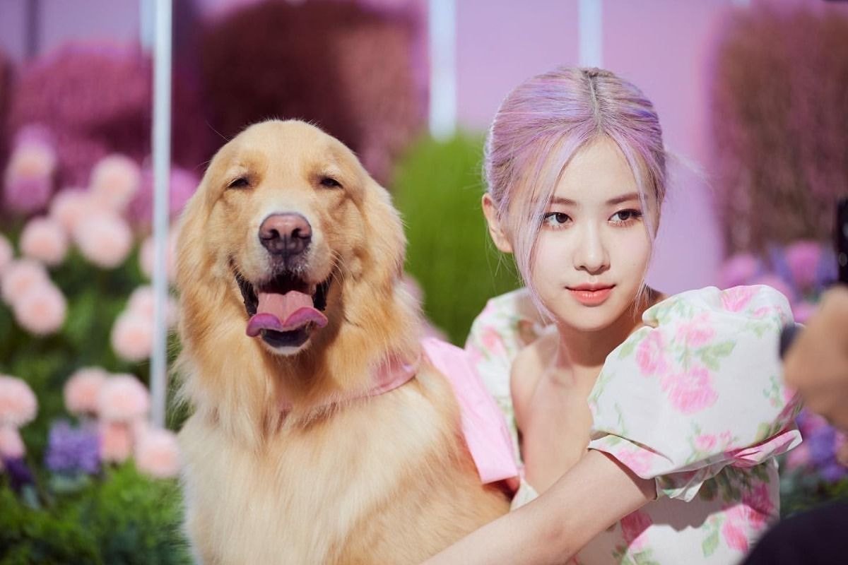 블랙핑크 로제 인스타