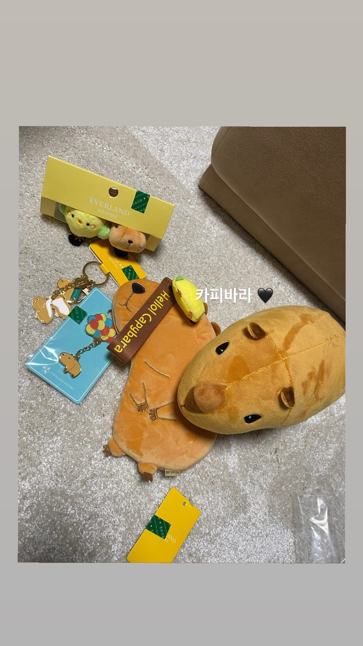 블랙핑크 제니 인스타스토리 업뎃
