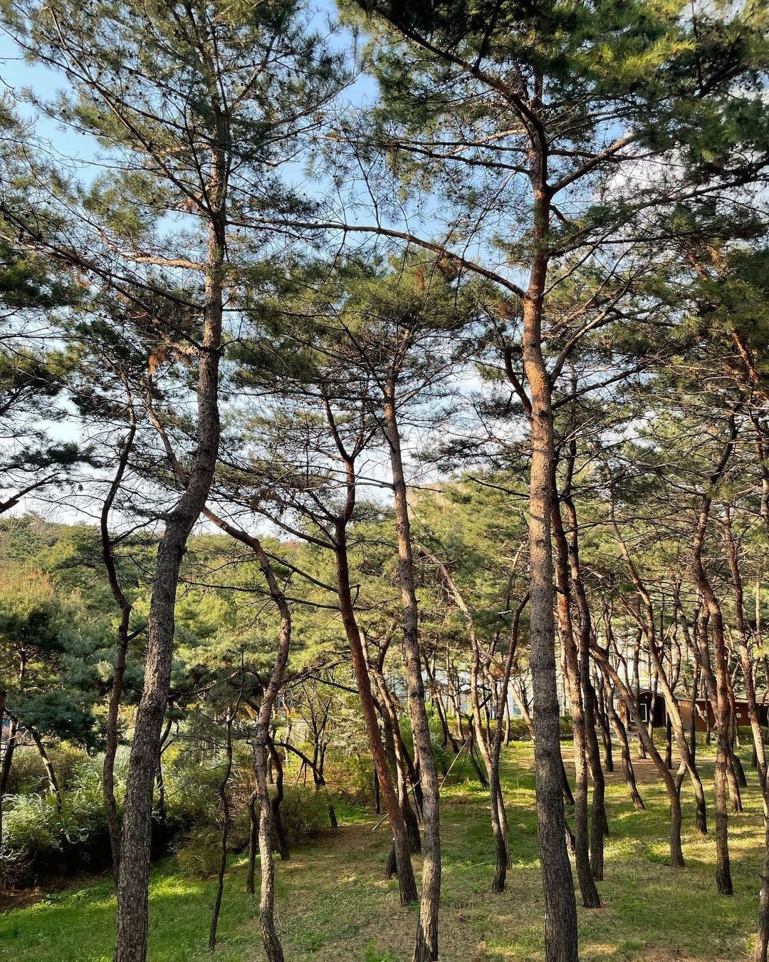 오늘자 블랙핑크 지수 인스타 (with 리사)