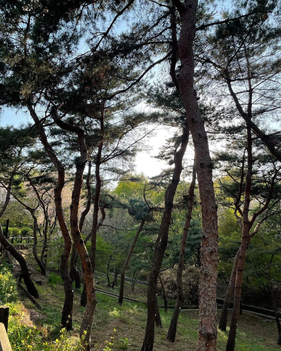 오늘자 블랙핑크 지수 인스타 (with 리사)