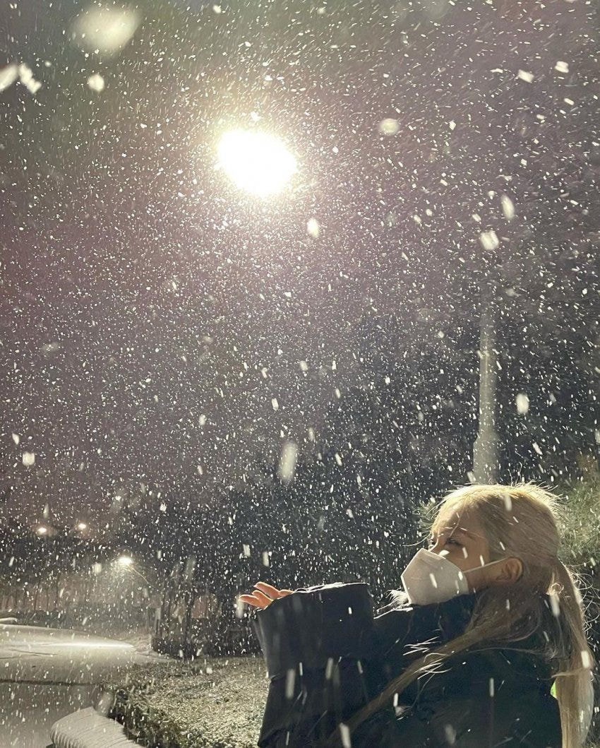 블랙핑크 로제 인스타그램❄