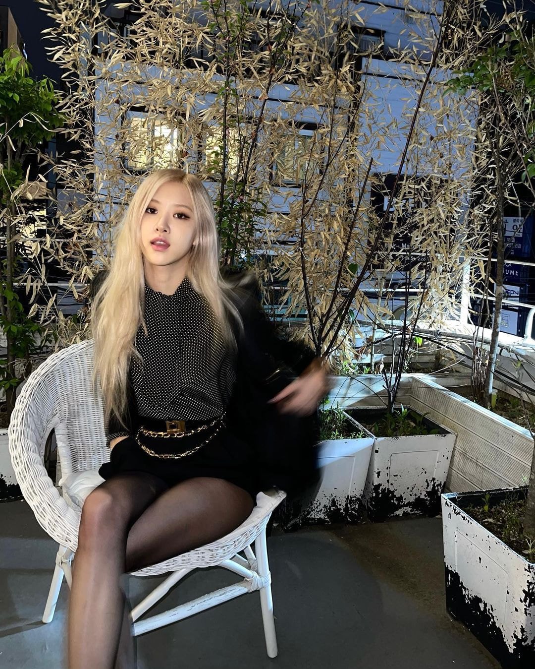 어제오늘 블랙핑크 로제가 올린 인스타