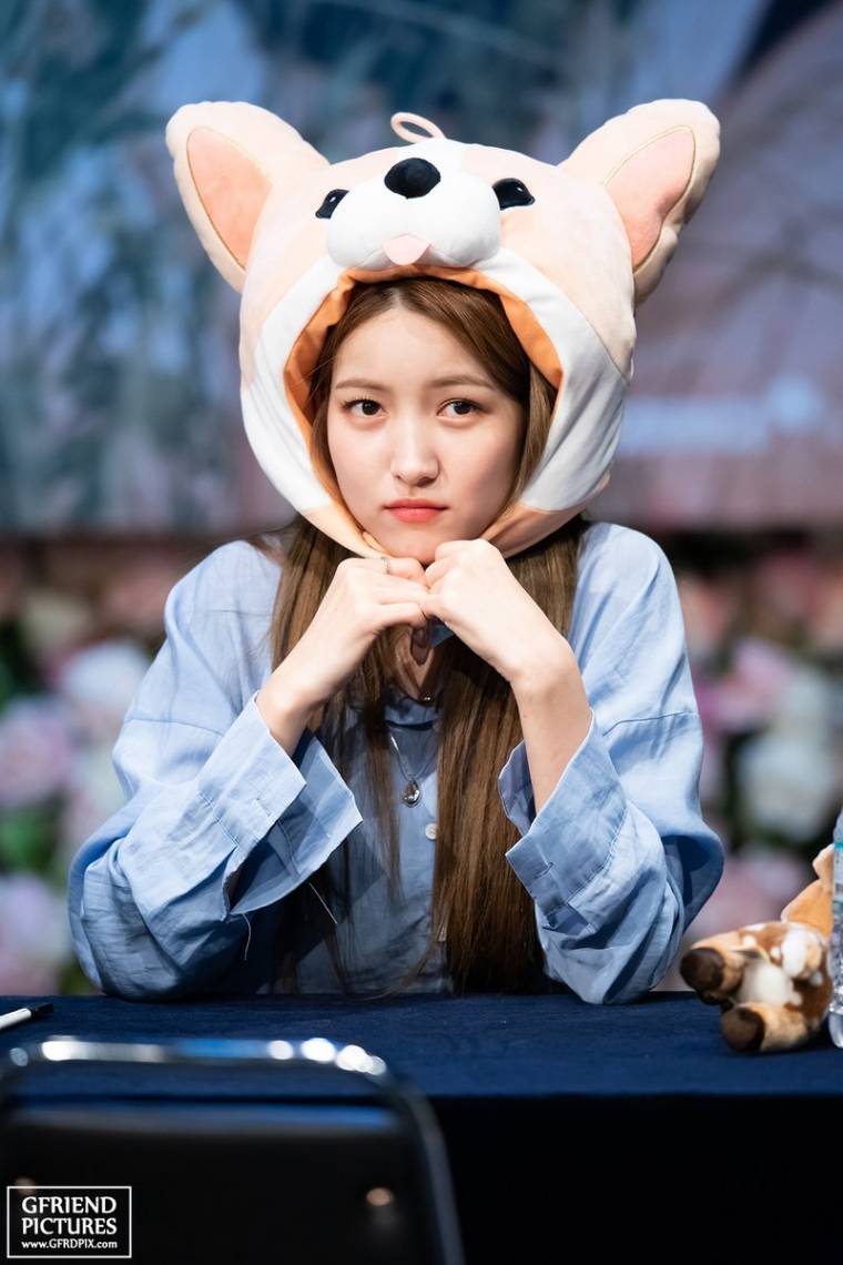 여자친구 신촌 팬 사인회.jpg by GFRIEND PICTURES