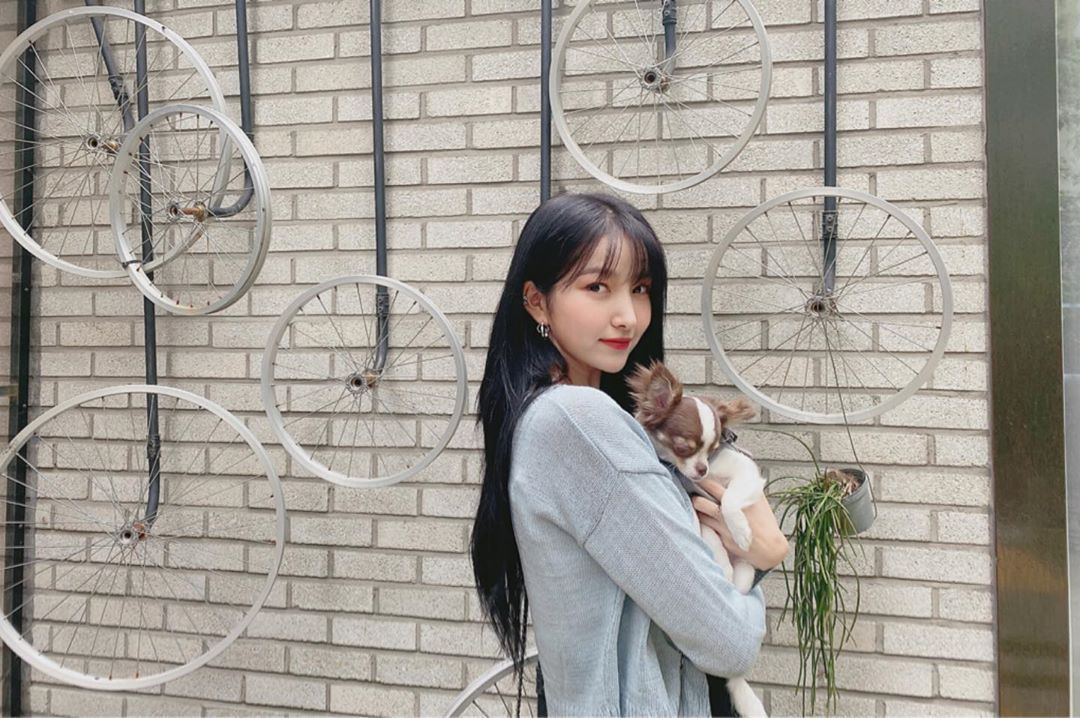 #여자친구 소원.insta 모음