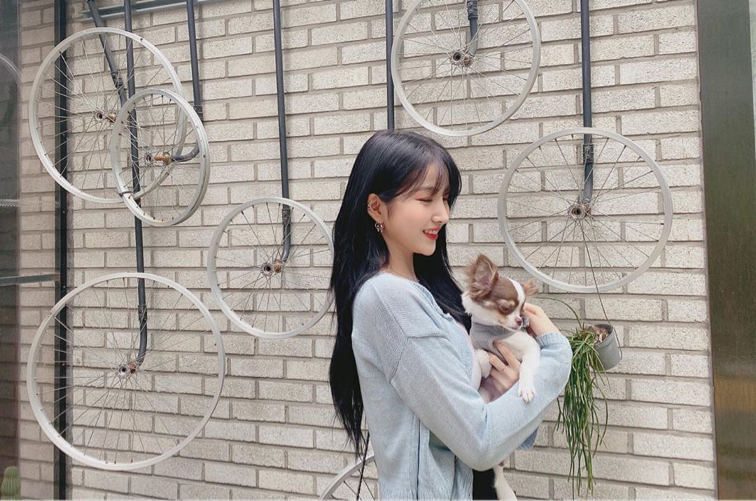 #여자친구 소원.insta 모음