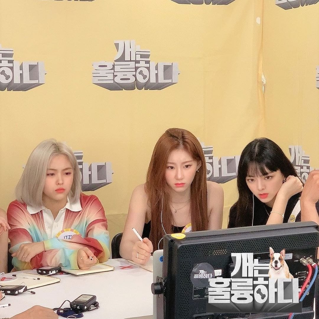 <개는 훌륭하다> 출연하는 있지 itzy 현장컷