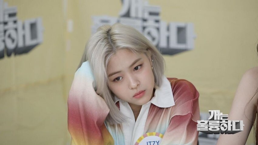 류진 (개훌륭 인스타 )
