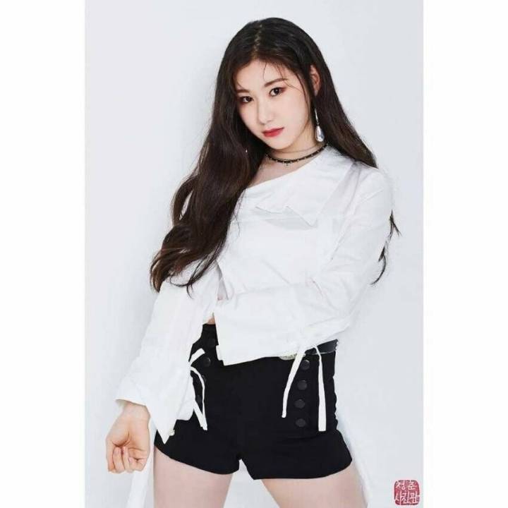 ITZY 있지 데뷔조 전소미 있던 시절 프로필