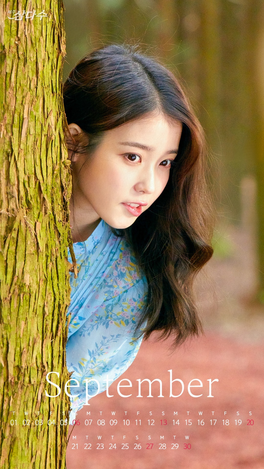 아이유 (삼다수 인스타)