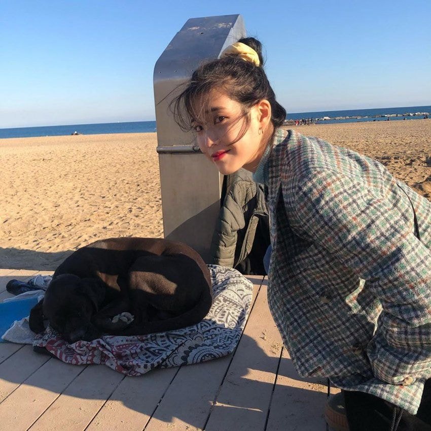 오늘자 아이유.insta
