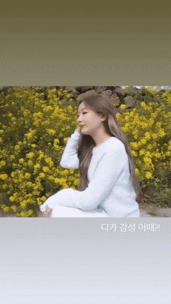 인스타 맛집 류수정 인스타