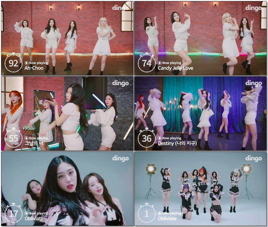 100초로 보는 러블리즈ㅣ 100Sec Lovelyz ㅣ딩고뮤직