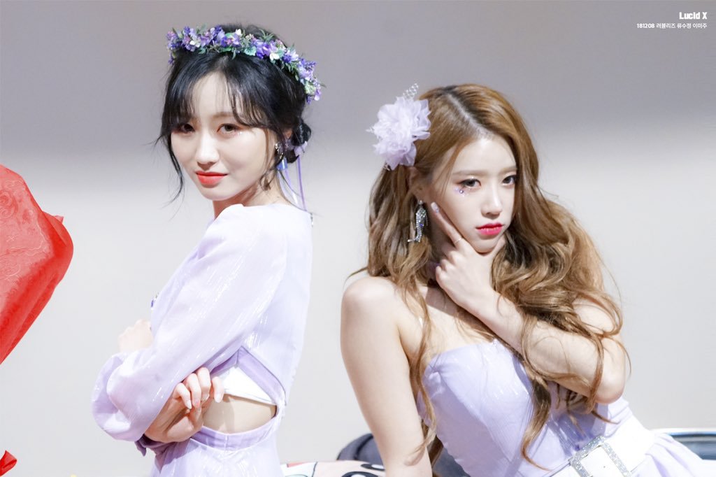 보라빛 러블리즈 미주
