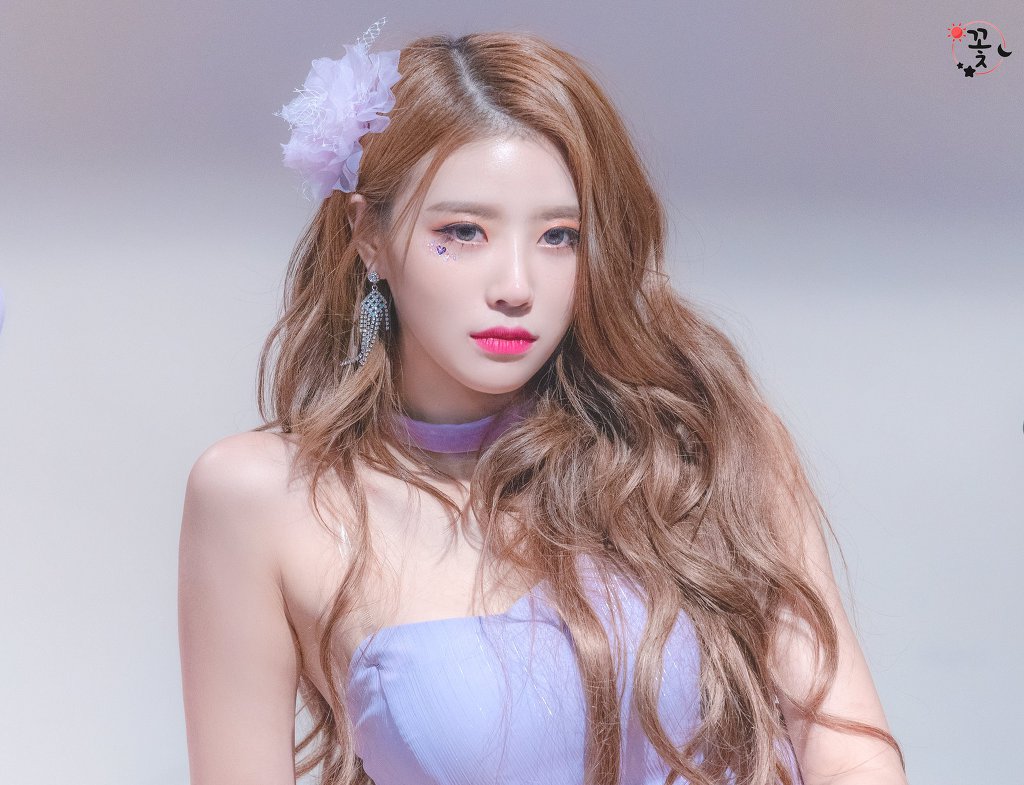 보라빛 러블리즈 미주