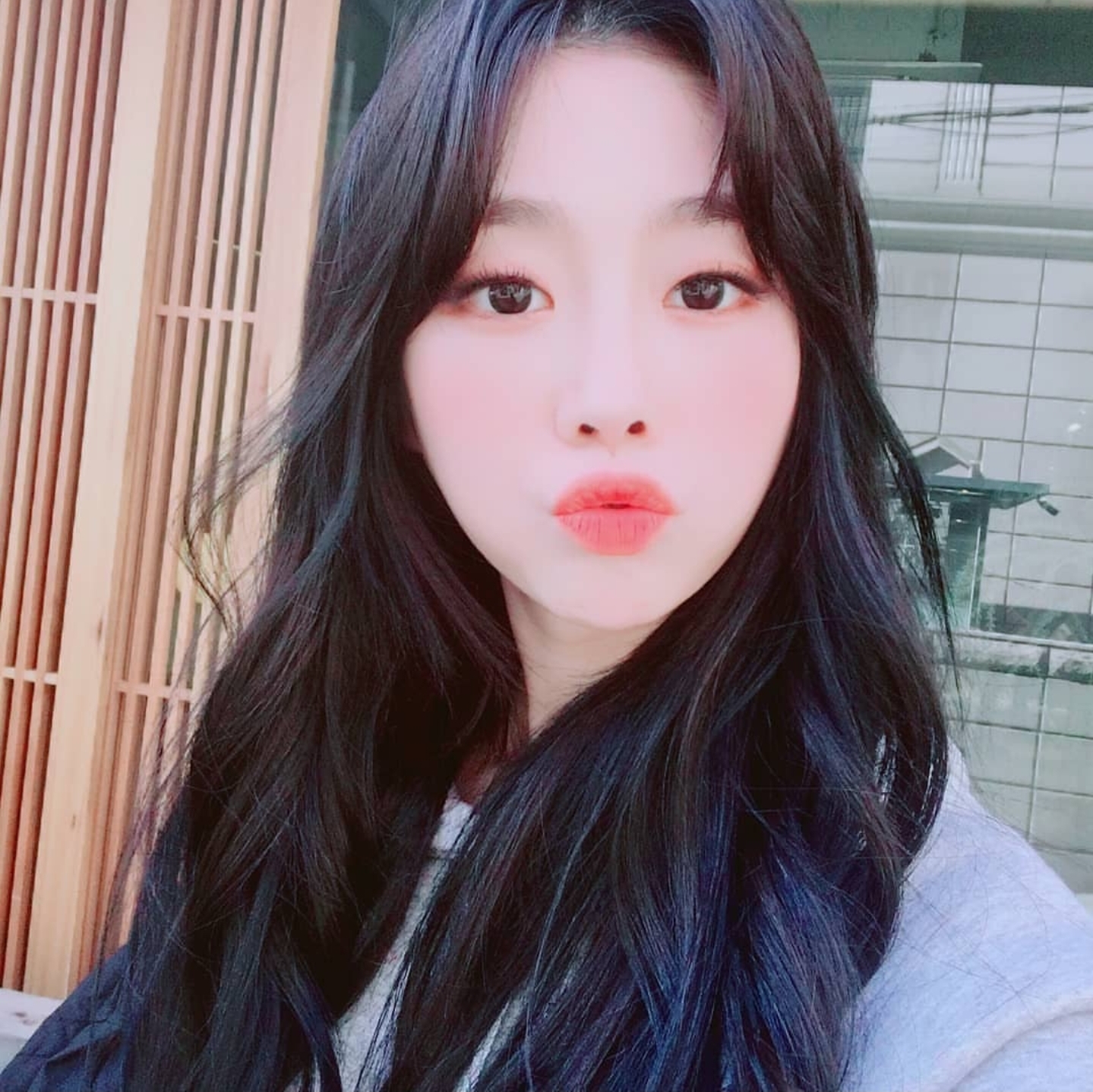 사막여우 서지수