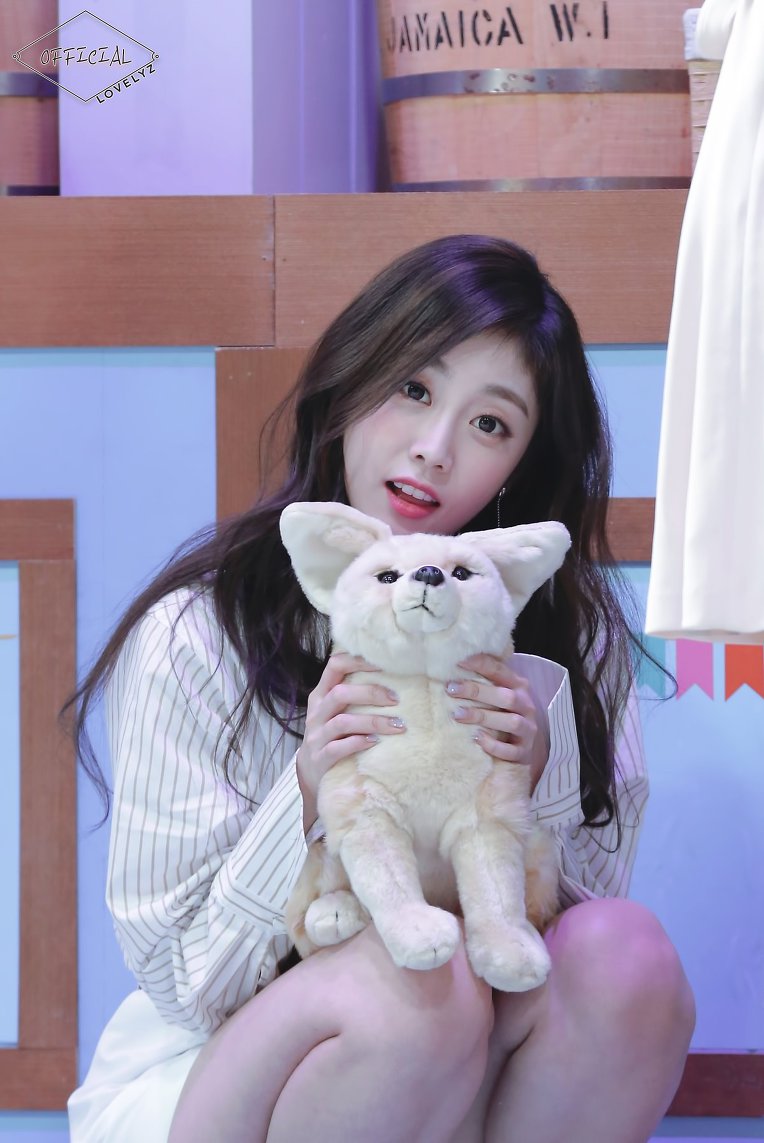 사막여우 안고 있는 #러블리즈 #서지수