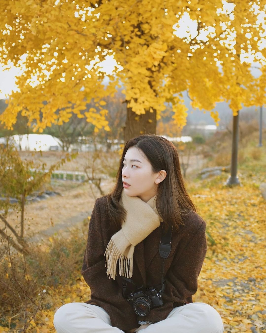 레드벨벳 슬기 인스타