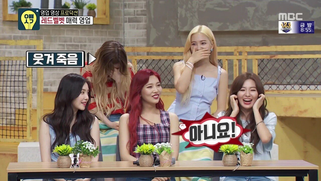 레드벨벳 슬기의 이상형
