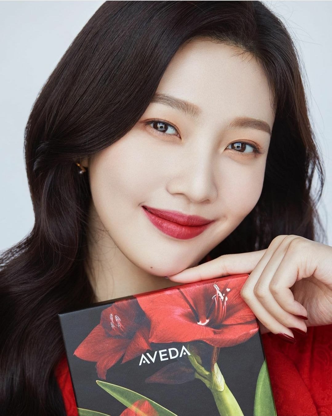 레드벨벳 조이 X 아베다 크리스마스 컬렉션