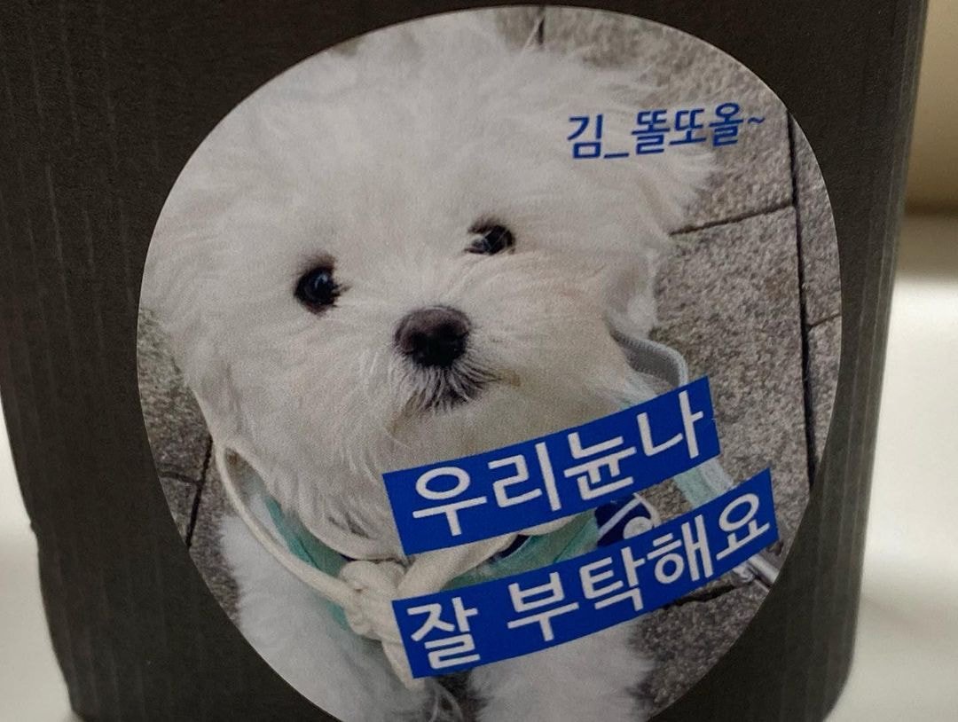 레드벨벳 예리 인스타 업뎃
