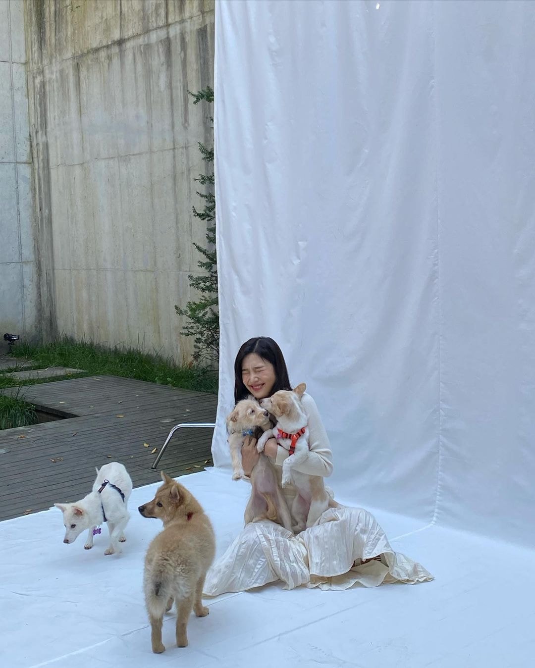 조이 인스타 폭풍 업뎃
