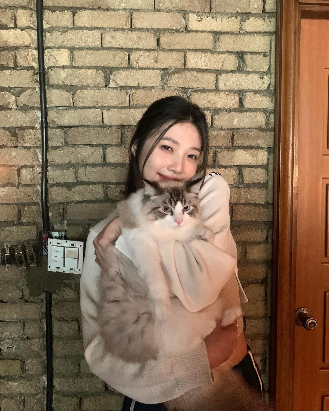 조이 인스타 업뎃 (feat. 죠리퐁)