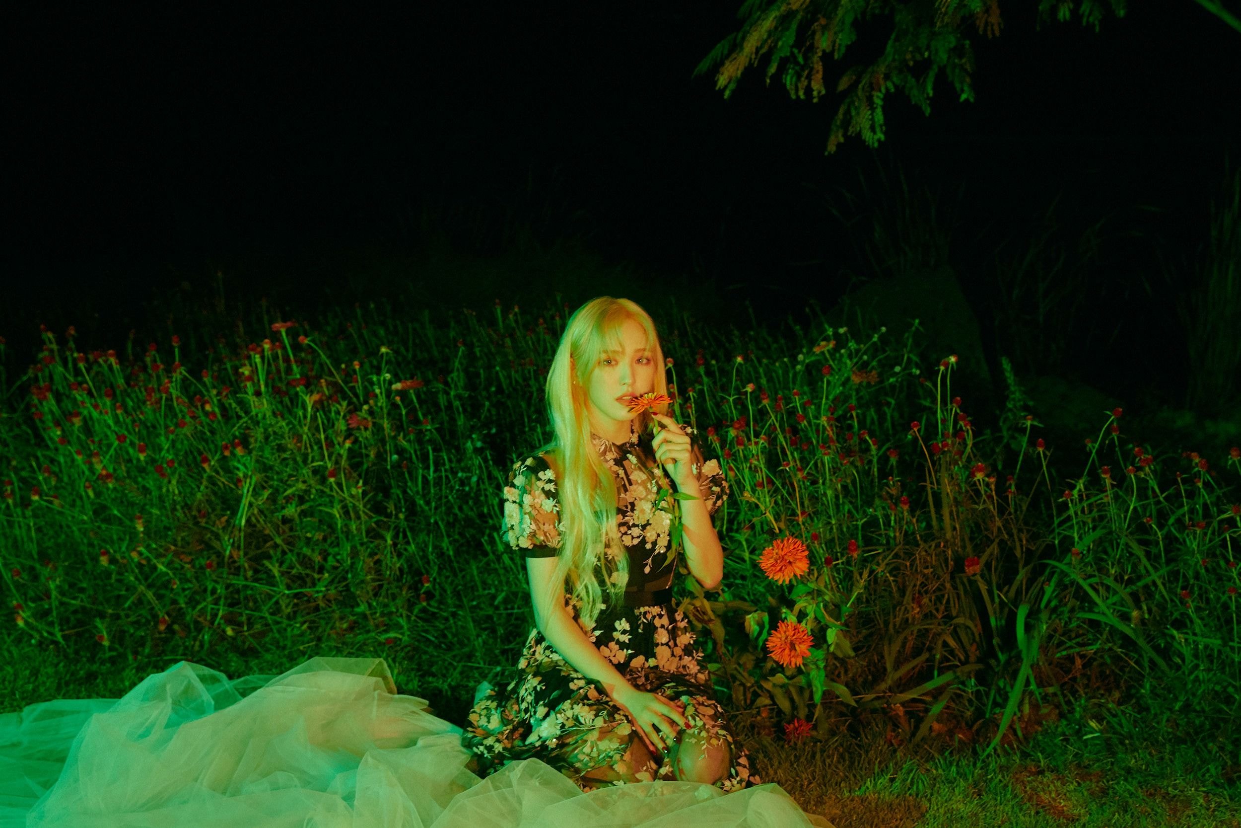 레드벨벳 [‘The ReVe Festival’ Finale] - 웬디 Teaser Clip / Teaser Image (Night Ver.)