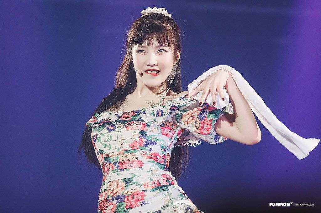 레드벨벳 콘서트 라루즈 조이.jpg