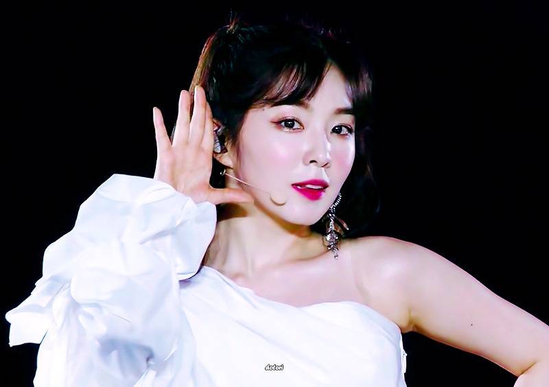 SM콘서트 in 도쿄 속 레드벨벳 아이린 .gif