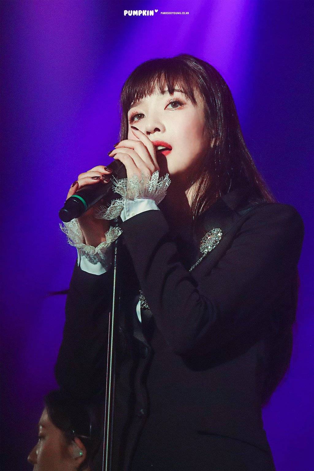 레드벨벳 콘서트 라루즈 조이.jpg
