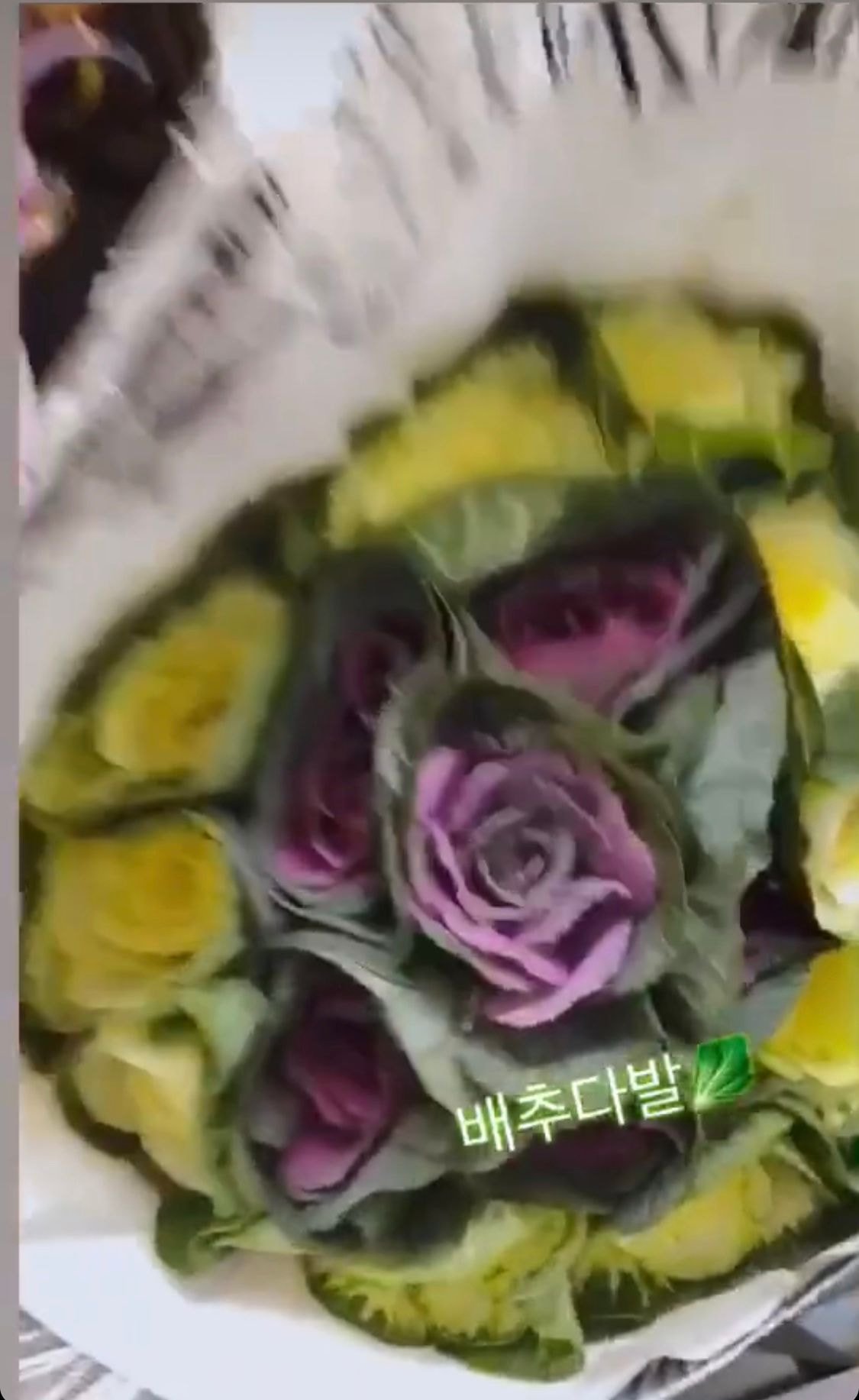 꽃다발 대신 배추다발 받은 레드벨벳 아이린