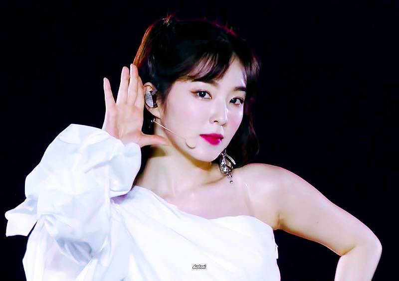 SM콘서트 in 도쿄 속 레드벨벳 아이린 .gif