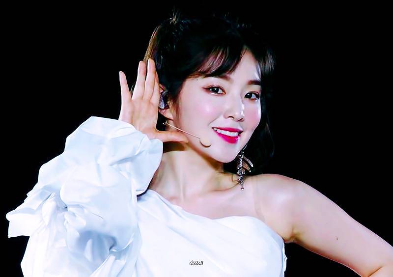 SM콘서트 in 도쿄 속 레드벨벳 아이린 .gif
