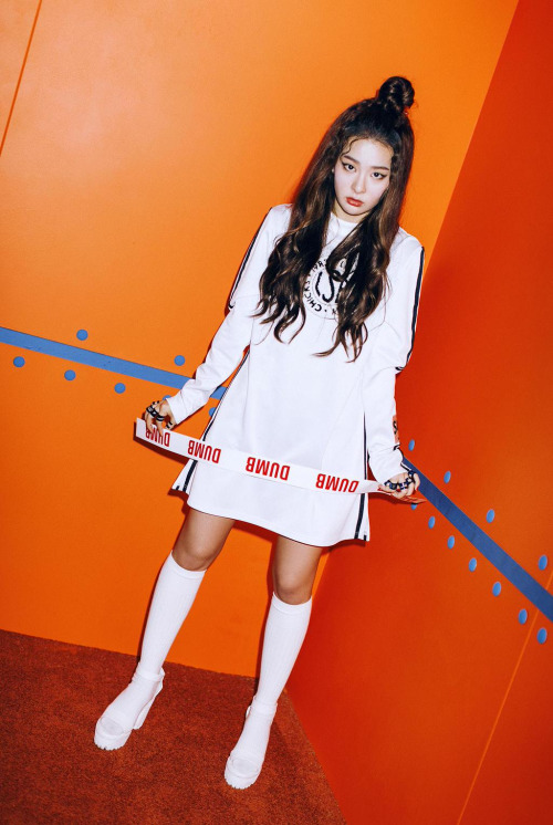 레드벨벳 정규 더레드 개인컷.jpg