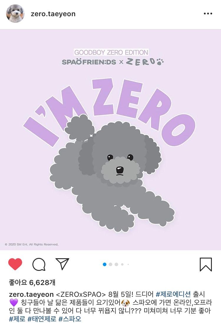태연 강아지 제로.insta (스파오 콜라보 에디션 8/5 출시 상품정보)