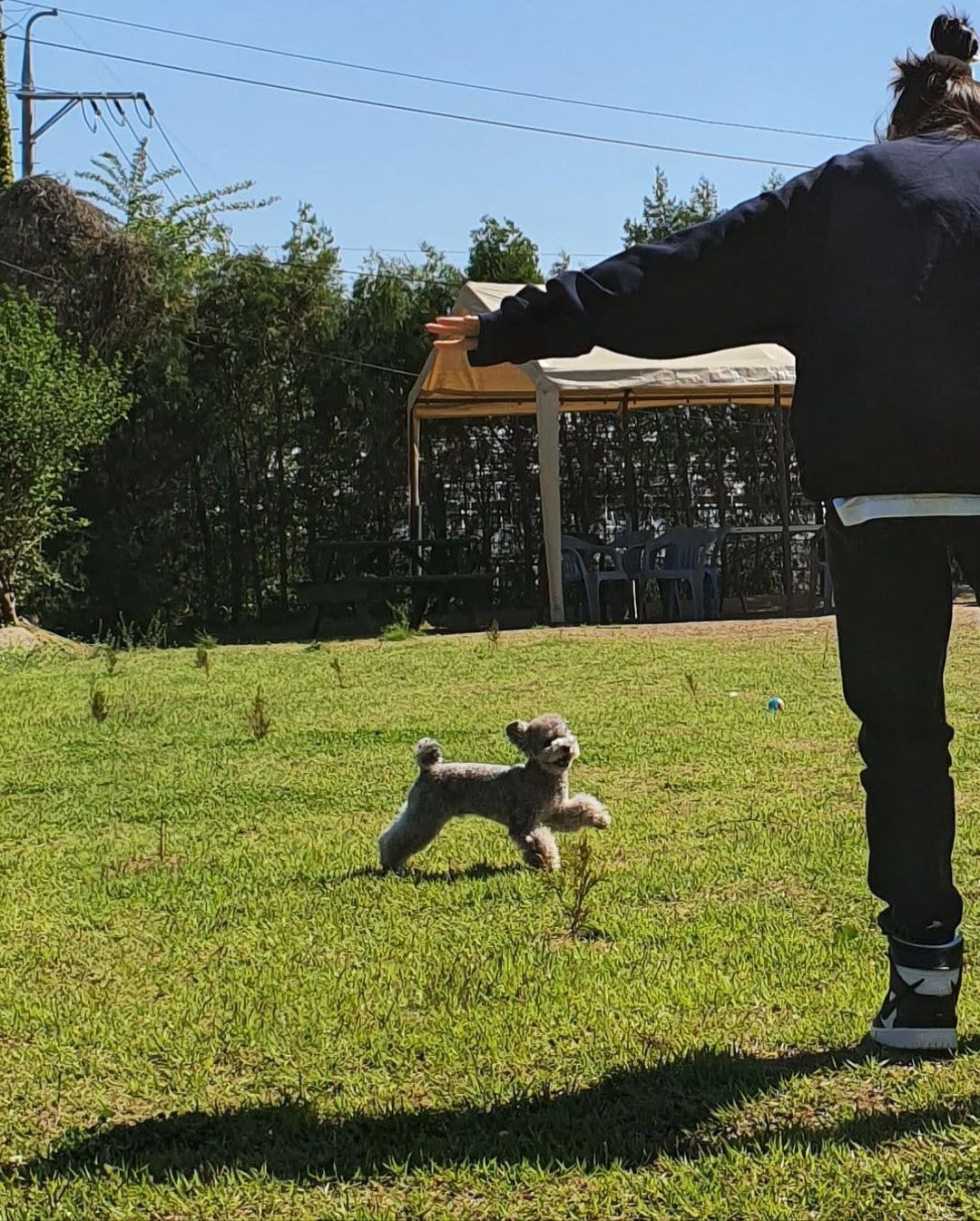 태연 인스타 업뎃.jpg(feat.제로)