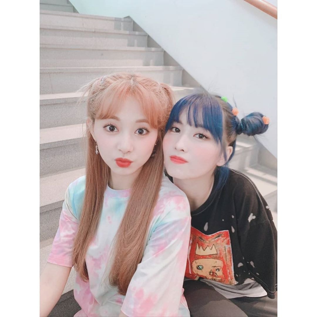트와이스 사나 모모 쯔위 인스타