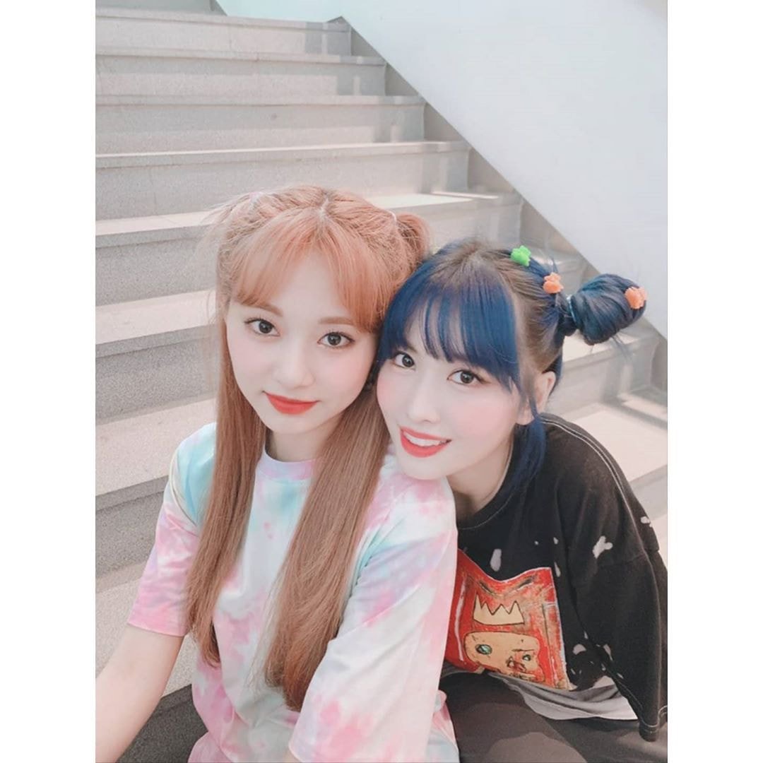 트와이스 사나 모모 쯔위 인스타