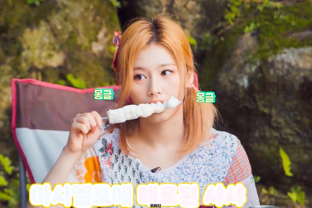 트와이스 사나 생일