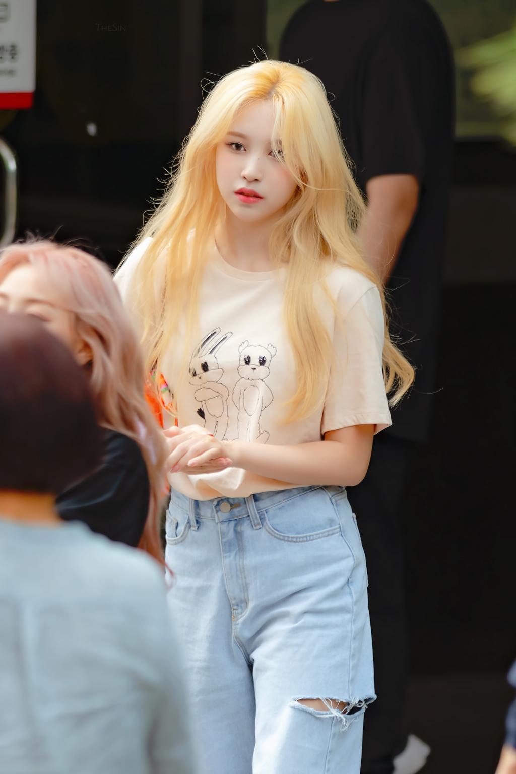 새벽 미나.jpg